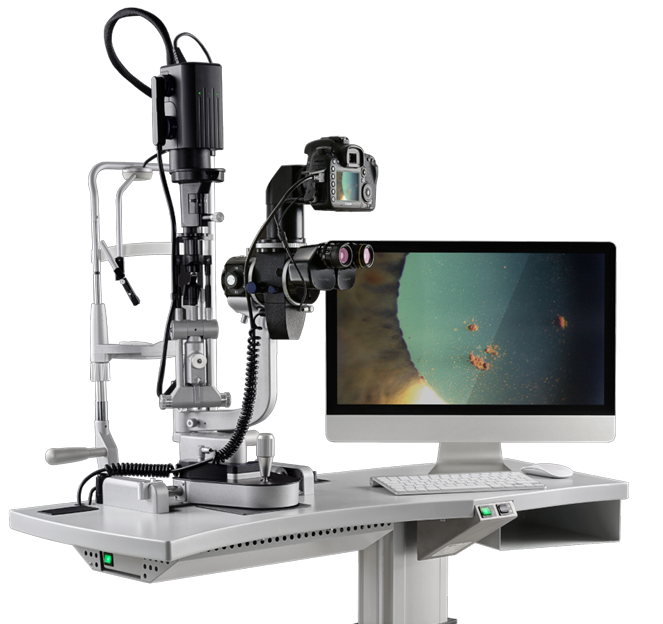 Haag-Streit Exam Room BP900 LED Slit Lamp
