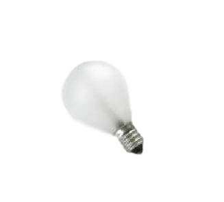 Sitler's Supplies Supplies B&L/Reichert 120V, 15W Bulb