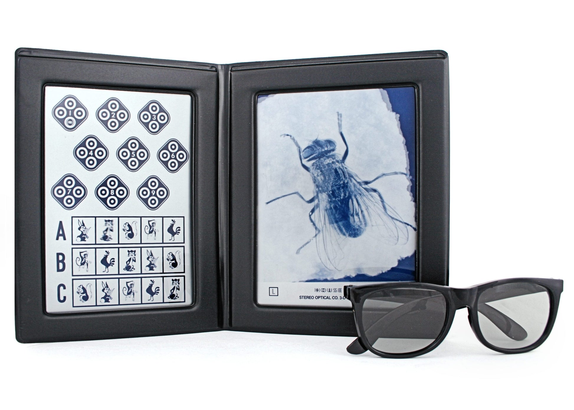 Stereo Optical Pre-Test Stereo Fly Test