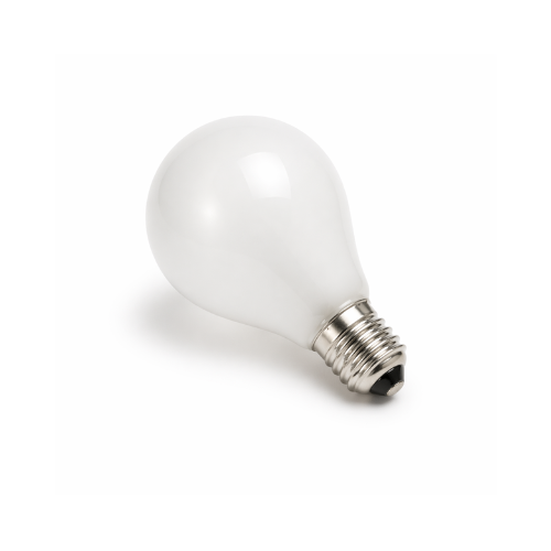B&L/Reichert 120V, 15W Bulb